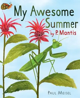 Vara mea minunată de P. Mantis - My Awesome Summer by P. Mantis