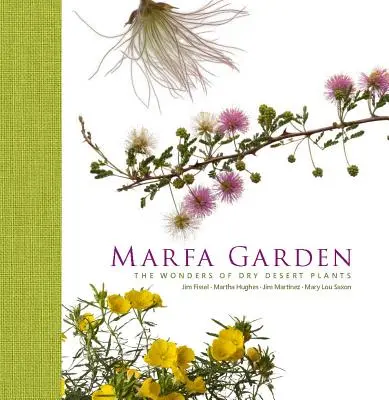 Grădina Marfa: Minunile plantelor uscate din deșert - Marfa Garden: The Wonders of Dry Desert Plants