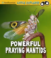 Mantisele rugătoare puternice - Powerful Praying Mantises