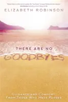 There Are No Goodbyes - Îndrumare și alinare de la cei care au trecut - There Are No Goodbyes - Guidance and Comfort From Those Who Have Passed