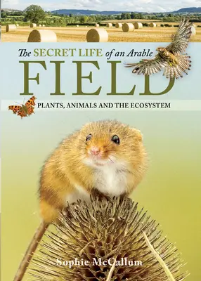 Viața secretă a unui câmp arabil: Plante, animale și ecosistem - The Secret Life of an Arable Field: Plants, Animals and the Ecosystem