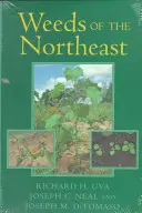 Buruienile din nord-est - Weeds of the Northeast