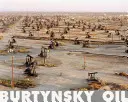 Edward Burtynsky: Petrolul - Edward Burtynsky: Oil