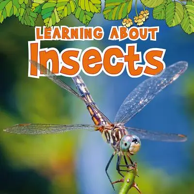 Să învățăm despre insecte - Learning about Insects