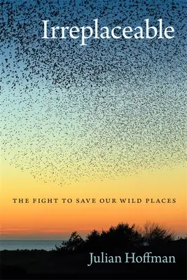 Irreplaceable: Lupta pentru salvarea locurilor noastre sălbatice - Irreplaceable: The Fight to Save Our Wild Places