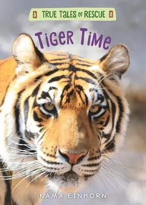 Timpul tigrilor - Tiger Time
