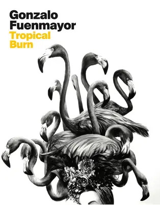 Gonzalo Fuenmayor: Arsură tropicală - Gonzalo Fuenmayor: Tropical Burn