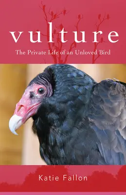Vulture: Viața privată a unei păsări neiubite - Vulture: The Private Life of an Unloved Bird