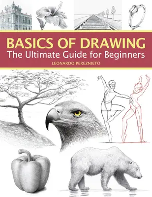 Bazele desenului: Ghidul suprem pentru începători - Basics of Drawing: The Ultimate Guide for Beginners