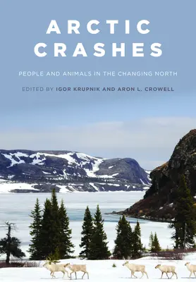 Arctic Crashes: Oameni și animale în nordul în schimbare - Arctic Crashes: People and Animals in the Changing North