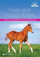 Puii și caii tineri: Dresaj și management pentru un cal bine crescut - Foals and Young Horses: Training and Management for a Well-Behaved Horse