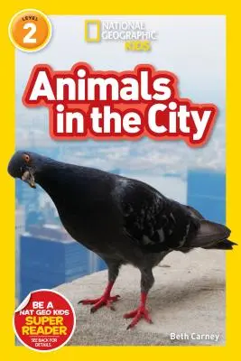 National Geographic Readers: Animale în oraș (L2) - National Geographic Readers: Animals in the City (L2)