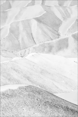 Cap de cal: Frederik Buyckx - Horse Head: Frederik Buyckx