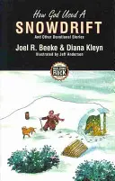 Cum a folosit Dumnezeu o ninsoare - How God Used a Snowdrift
