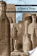 Un simț al lucrurilor: Materia obiect a literaturii americane - A Sense of Things: The Object Matter of American Literature