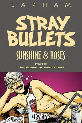 Gloanțe rătăcite: Sunshine & Roses Volumul 3 - Stray Bullets: Sunshine & Roses Volume 3