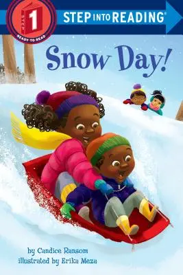 Ziua zăpezii! - Snow Day!