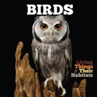 Păsări - Birds