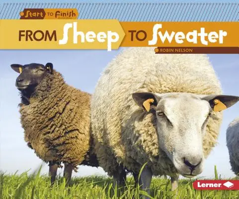 De la oaie la pulover - From Sheep to Sweater