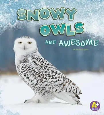 Bufnițele de zăpadă sunt grozave - Snowy Owls Are Awesome