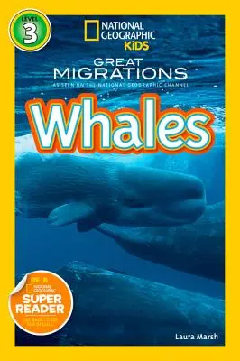 Balene - Whales