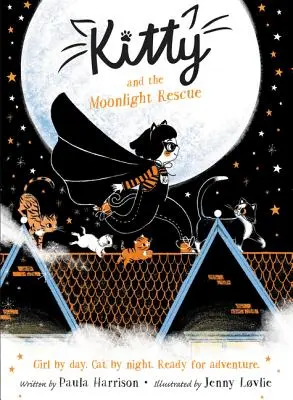 Kitty și salvarea la lumina lunii - Kitty and the Moonlight Rescue