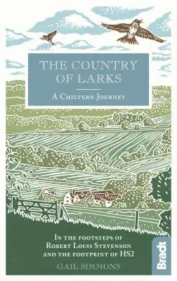 The Country of Larks (Țara ciocârliilor): O călătorie în Chiltern pe urmele lui Robert Louis Stevenson și pe urmele lui Hs2 - The Country of Larks: A Chiltern Journey in the Footsteps of Robert Louis Stevenson and the Footprint of Hs2