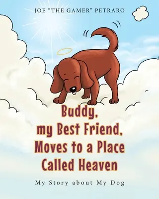 Buddy, cel mai bun prieten al meu, se mută într-un loc numit Rai: Povestea mea despre câinele meu - Buddy, my Best Friend, Moves to a Place Called Heaven: My Story about My Dog