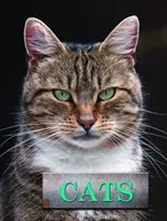 Pisici - Cats