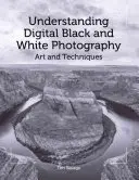 Înțelegerea fotografiei digitale alb-negru: Artă și tehnici - Understanding Digital Black and White Photography: Art and Techniques