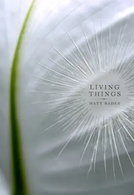 Lucruri vii - Living Things