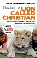 Leul numit creștin - Lion Called Christian