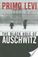 Gaura neagră de la Auschwitz - The Black Hole of Auschwitz
