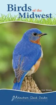 Păsările din Midwest: Identificarea cu ușurință a păsărilor de curte - Birds of the Midwest: Identify Backyard Birds with Ease