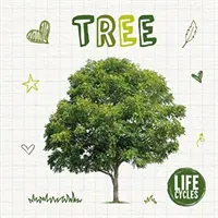 Ciclul de viață al unui copac - Life Cycle of a Tree