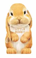 Micul iepuraș - Little Bunny