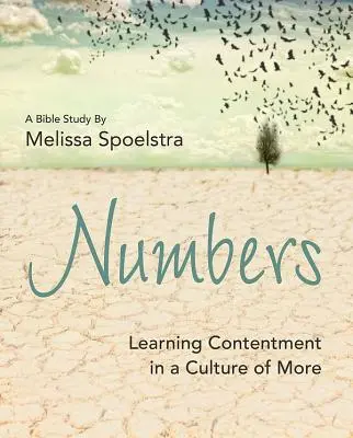 Numbers - Studiu biblic pentru femei - Caiet de lucru pentru participante: Învățarea mulțumirii într-o cultură a excesului - Numbers - Women's Bible Study Participant Workbook: Learning Contentment in a Culture of More