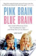 Pink Brain, Blue Brain - How Small Differences Grow into Troublesome Gaps - And What We Can Do About It