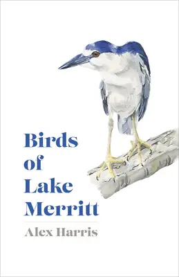 Păsările de pe lacul Merritt - Birds of Lake Merritt