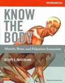 Caiet de lucru pentru Cunoașterea corpului: Esențialii pentru mușchi, oase și palpare - Workbook for Know the Body: Muscle, Bone, and Palpation Essentials