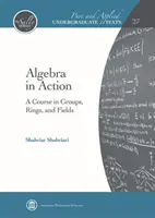 Algebra în acțiune - Un curs despre grupuri, inele și câmpuri - Algebra in Action - A Course in Groups, Rings, and Fields