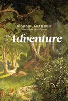 Aventura - The Adventure