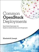 Implementări Openstack comune: Real-World Examples for Systems Administrators and Engineers (Exemple din lumea reală pentru administratorii și inginerii de sisteme) - Common Openstack Deployments: Real-World Examples for Systems Administrators and Engineers