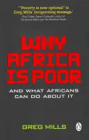De ce Africa este săracă - Why Africa is poor