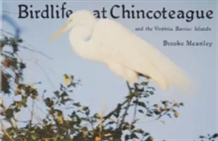 Viața păsărilor la Chincoteague și în Insulele Virginia Barrier - Birdlife at Chincoteague and the Virginia Barrier Islands