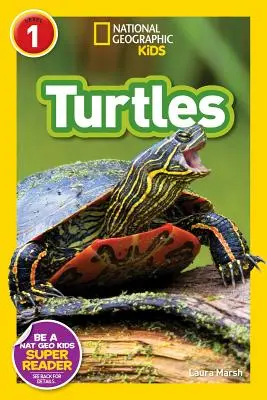 Broaște țestoase - Turtles