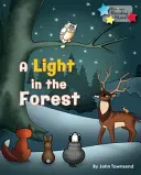 Lumină în pădure - Light in the Forest