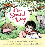 O zi specială: O poveste pentru frații și surorile mai mari - One Special Day: A Story for Big Brothers and Sisters