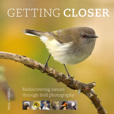 Getting Closer: Redescoperirea naturii prin fotografierea păsărilor - Getting Closer: Rediscovering Nature Through Bird Photography