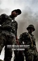 Criza și războiul de clasă în Egipt: Reproducerea socială, realinierea facțiunilor și economia politică globală - Crisis and Class War in Egypt: Social Reproduction, Factional Realignments and the Global Political Economy